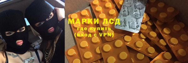 гидра Арсеньев