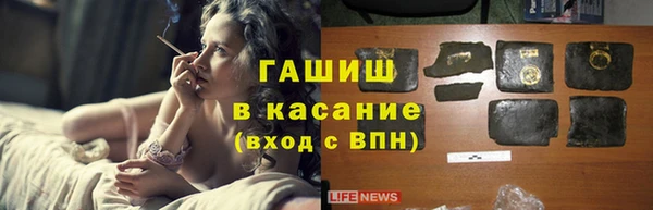 гидра Арсеньев