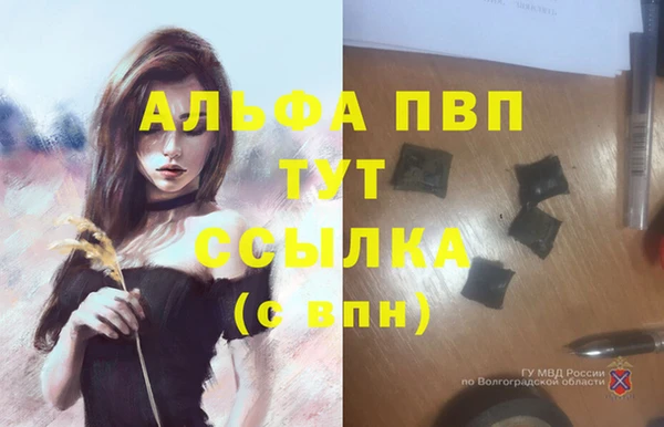 гидра Арсеньев