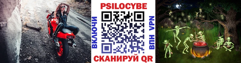 Псилоцибиновые грибы Cubensis Аркадак